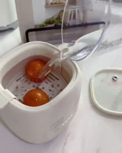 ☀️Life Core☀️ Multifunction Electric Egg Boiler Cooker 300W 4 Egg Boiler Capacity Automatic Quickly Cooked Multifunctional Egg Steamer煮蛋器 Egg Cooker Multifunctional Four Egg Boiler Steamer Boiling Machine Household Automatic Power Off Egg Steamer 煮蛋器