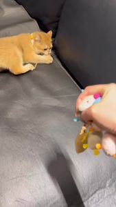 plush mouse cat toy Anti bite cat scratch interactive mouse Pet training supplies cat plush mouse toy Catnip artificial fur cat