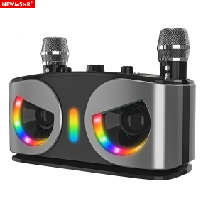 20W Powerful Wireless Bluetooth Speaker RGB Lights Effect Surround Sound Bass with 2 Mic Portable Subwoofer Outdoor Home Karaoke