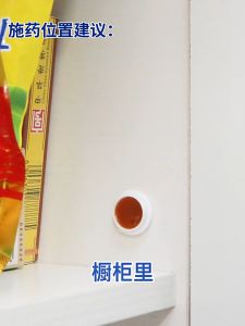 จัดส่งจากกรุงเทพฯ ฆ่าแมลงสาบ  ฆ่าทั้งรัง ล่อแมลงสาบ ขายส่ง ยากำจัดแมลงสาบ 8 เม็ด/กล่อง