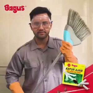 BAGUS KAPUR AJAIB UNTUK KECOA DAN SEMUT