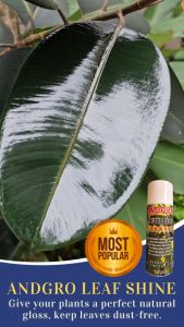 ANDGRO Leaf Shine (400ml)