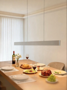 JIANDUN | Spectrum-Protecting Long Bar Simple Style Hanging Light