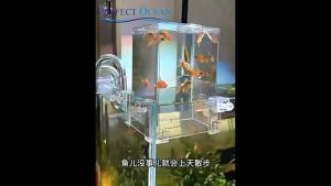 Acrylic External Small Pressure Fish Tank Top Aquarium Decoration Box Akuatik 🌊READY STOCK🌊 | Perfect Ocean