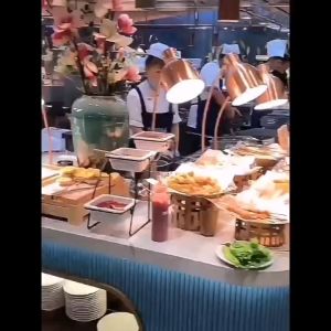 XINHONG heat lamp food โคมไฟอุ่นอาหาร Food Warmer โคมไฟบุฟเฟ่ต์ Infrared Lamp 250W โคมไฟแสดงอาหาร สำหรับร้านอาหาร โรงแรม บุฟเฟ่ต