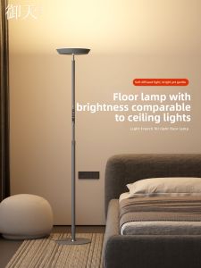 Bedside Reading Standing Lamp