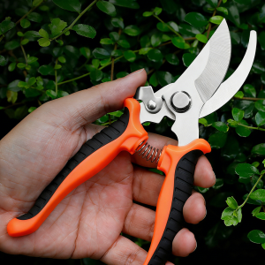 1pc Stainless Steel Professional Gardening Shears Pruning Branches Fruit Trees Flowers Household Garden Pruning Tools Shears