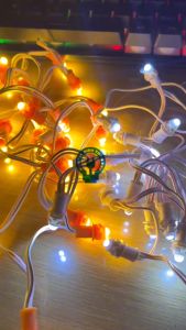 Dây LED F5/0.2W 12V ánh sáng trắng & vàng quấn cây cảnh trang trí sân vườn (bịch 1000 cái)