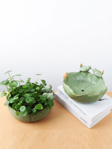 Export Quality Ceramic Potted Plant with Large Mouth and Creative Personality Bird Frog Base Suitable for Balcony Corridor Ground Window Sill Desktop Lobby Elevator Hall