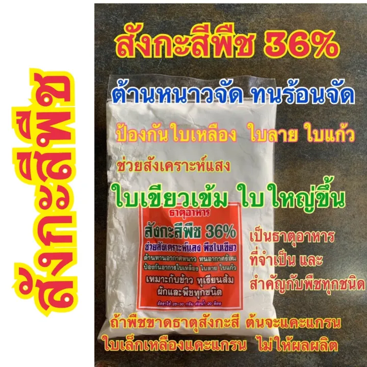 สังกะสีพืช 36% ปุ๋ยอาหารพืช ต้านหนาวร้อน ใบเขียวเข้ม