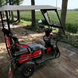 CRITERIA vebike wiper 12volts system commonly use for 3 wheeled or some other brand and model