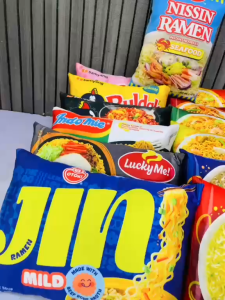 Noodles Snacks Pillows 11x16 Sizes Available Ultra Soft Polydex Microfiber Fabric washable