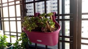 JCLSGP Corridor Flower Pot Plant Balcony Hanging Flowerpot