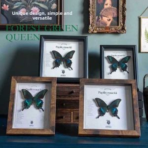 DIHUANTUO | Luxurious Retro Display Frame for Dried Flowers & Butterfly Specimens