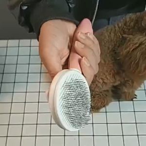 Lược chải lông rụng và massage cho chó mèo chất lượn tốt-   Lược  chải lông chó 2 mặt - Mèo Cún - ban chai long cho meo - chăm sóc chó mèo - luoc chai lông -