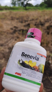 Benevia Insecticide 250ml - Effective Insect Control Healthier Crops Higher Yield Fast Action Long Lasting Protection Safe for Plants Trusted by Farmers