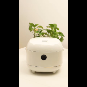 Gaabor 1.2L (Rated 3L)  Multi Functional Rice Cooker Curve Non-Stick Po Computer-Controlled Smart 24H Cooking