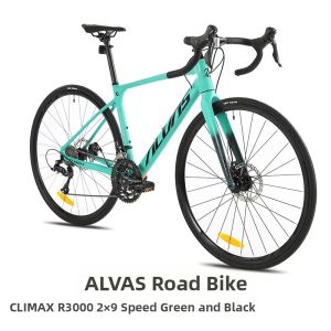 ALVAS | Leisure Bicycle 700C