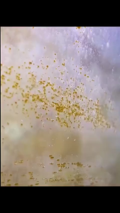 SOBO Mini Magnetic Aquarium Fish Tank Glass Cleaner Double-Sided Brush S/M/L Saiz