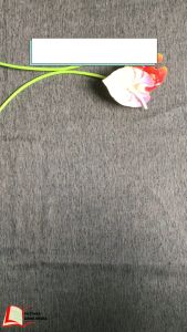 Buku SKS Menguasai Tes Potensi Akademik Edisi Terbaru Plus (Seri Tes Potensi Skolastik) SNBT UTBK