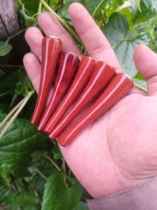 pipa pirok kayu nagasari merah mini