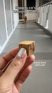 Floppityco Dog and Cat Training Treats - Premium Freeze Dried Training Bites Cubes