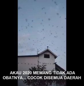 PANGGIL AKAU 2020 ASLI 100% ORIGINAL GARANSI RESMI 1TAHUN FLASHDISK
