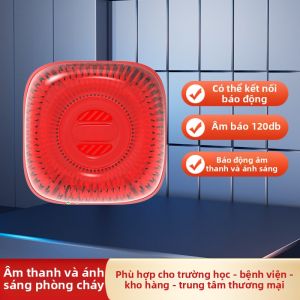 Boleesch | Báo Động Khói