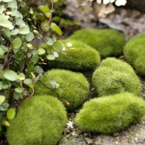 Fake Stone Artificial Moss Rocks Home Decor Simulation Plant DIY Decoration for Garden and Crafting Green Wholesale WORLDKPI