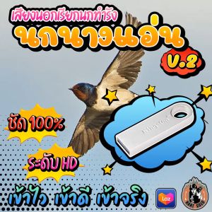 เสียงเรียกนกนางแอ่นทำรัง V.2 - เสียงนอกเรียกนกนางแอ่น แฟลชไดร์ฟเสียงนกนางแอ่น ชัด เสียงใส ไม่มีโฆษณาแทรก