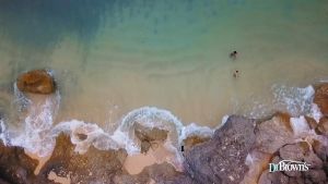 Dr. Browns Bath Spout Cover Dinosaur