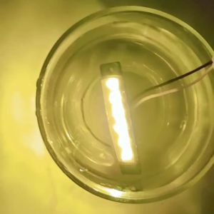 12V 24V Truck side light marker indicator light Turn signals for cars and trucks universal 6LED whit