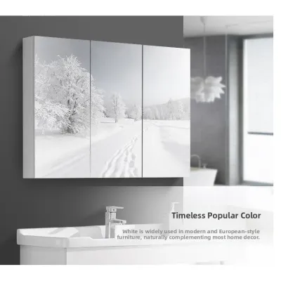 Wall Mounted Rubber Wood Storage Cabinet with Mirror
