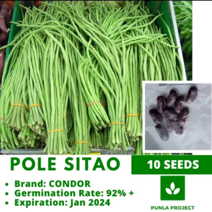 Sitaw 10seeds Negrostar Vegetable Repacked Seeds Gardening Lazada Ph 4559