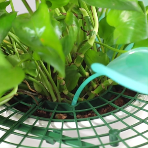 Elevated Strawberry Fruit Support Holder Model A | Tatakan Penyangga Penopang Buah Stoberi