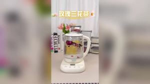 德国加厚养生壶多功能办公室煮花茶壶家用大容量保恒温电热烧水壶