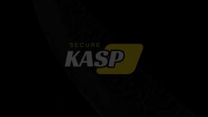 Japanese Famous Chef Knife High Quality Butchering Boning Knifes 15° V Blade With Cover