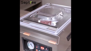 Máy hút chân không công nghiệp Septree DZC-280T tích hợp in date trực tiếp không kén túi hút siêu khỏe