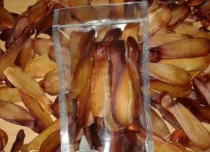 BUAH POHON MAHONI BENIH BUAH POHON MAHONI MURNI MURAH MERIAH 50 buah / bibit. bonus 2 bibit