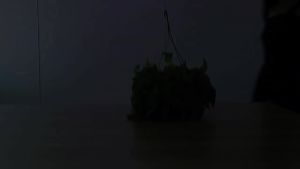 600W LED Full Spectrum Grow Lights Full Spectrum Hydroponics Plant Cultivation Lamp UV IR Greenhouse Tent Fruit Vegetables 400W
