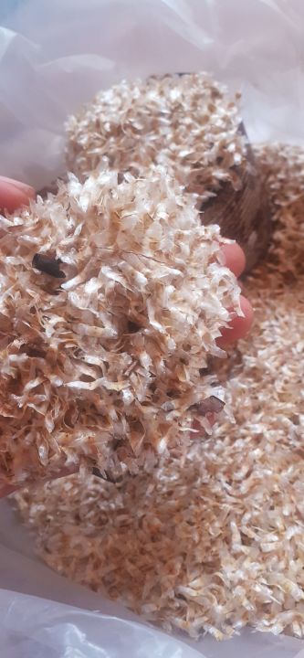 H%E1%BA%A0T%20GI%E1%BB%90NG%20N%C3%9AC%20N%C3%81C%20-%20Image%205