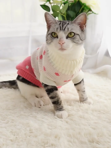 Áo len giữ ấm cho Chó Mèo siêu dễ thương (mẫu mới) - Love Pets Shop