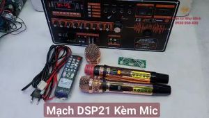 MẠCH LOA KÉO DSP21 DÙNG 4 TẤC đôi/đơn - Kích thước mạch 19x38cm ( có lựa chọn Có Mic / Không mic )
