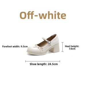Josiny | Mary Jane Style French Design Thick Heel Shoes for Women