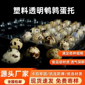 Disposable Plastic Quail Egg Tray Transparent Storage Box Packaging Container Multi-Specification Egg Holder for Dining Table