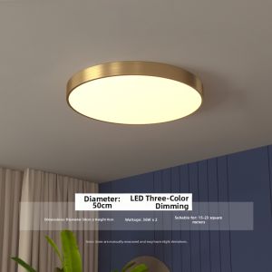 ZHENMEIJU | Round Mickey LED Ceiling Light