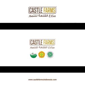 Kurma Ajwa 500 gr Premium Organic Castle Farms Kurma Nabi Asli Madinah High Quality