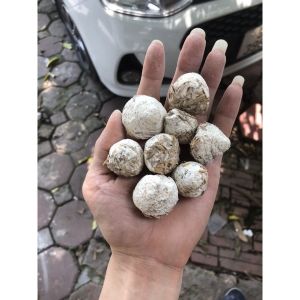 10 Viên Men Ngọt – Làm Cơm Ruou Nếp Cái Nếp Cẩm Ruou Vắt Bánh Bò
