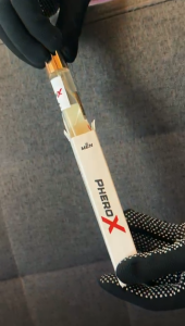 PERFUME VIRAL X MEN WHITE EDITION ( 10ML SPRAY )