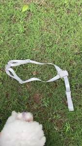 Andanti-choking Medium Pet Harness Set One Click Pop Open Dog Harness Small Dog Harness Leash Easy Use Cat Harness Accessories